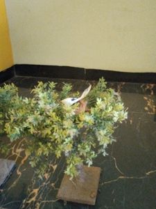 Bonsai Artificial Plants