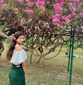 Elegant Off-Shoulder Ruffle Crop Top with Cr