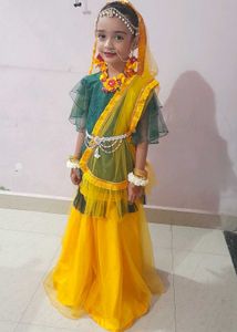 Lehenga Choli Set