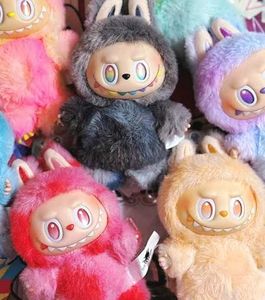 The Labubu Blind Box