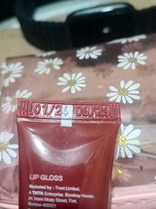 ZUDIO Plump Lip Gloss