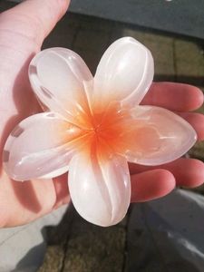 6 Colorful Flower Hair Clature 🌸