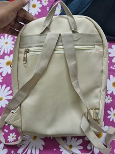 Stylish Backpack