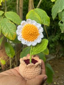 Crochet Daisy in Pot