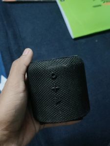Protonics Speaker