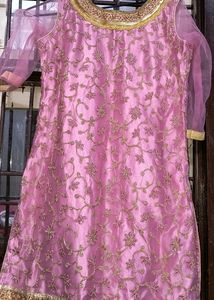 Elegant Pink Embroidered Lehenga Choli Set