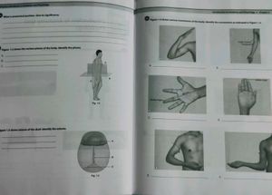 Applied Anatomy &amp; Physiology Workbook For Nurses.