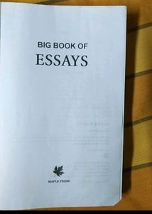Combo Of The Big Book Essay And Hidden hindu Prt-3