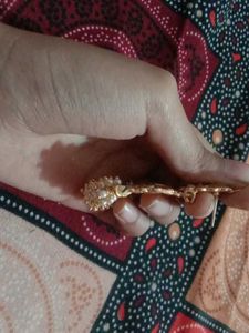Beautiful Multi Colour Earrings And Maang Tikka