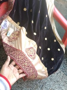 Elegant Embellished Saree