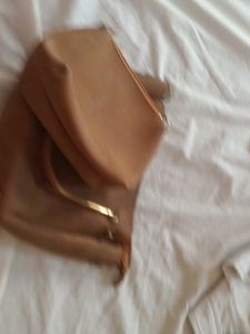 Brown Handbag