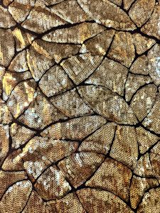 Gold Sequin Stretchable Top