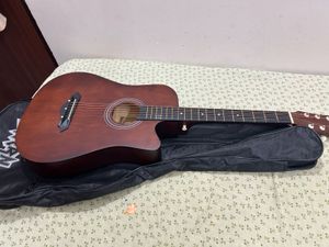 Acoustic guitar