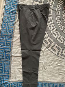 Formal Grey Pant