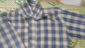 Blue &amp; White Plaid Button-Down Shirt