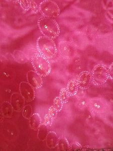 Designer Net Saree