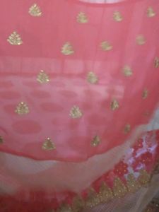 Half Net Sadi With Blause