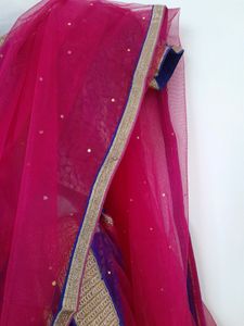Elegant Blue &amp; Pink Lehenga Choli Set