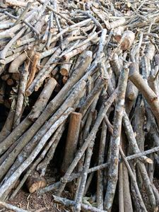 Firewood For Home And Commercial Use