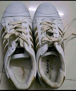 Brand Sparx Canvas Shoes