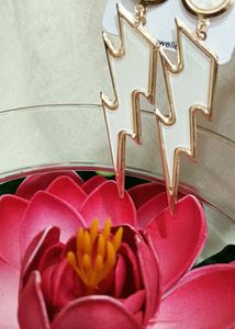 (₹99)Trendy Earrings