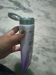 Loreal Hydra Filling Night Cream