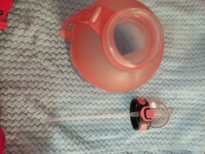 Fancy Big Water Bottle &amp; Sipper