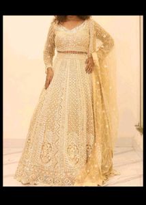 Stunning Gold Embroidered Lehenga Choli