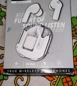Ultrapods Max Earbuds