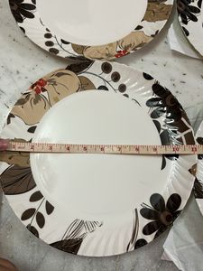 Dinner plates 6 pieces
