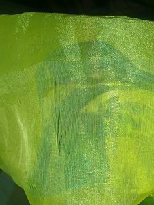 Pure Organza Saree