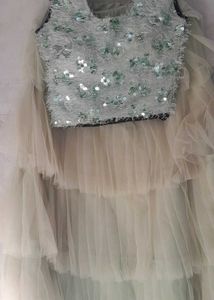 Beautiful Crop Top Choli