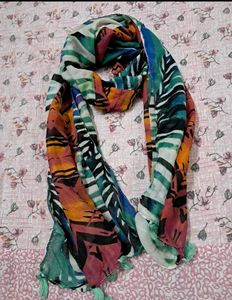 Colorful Striped Scarf with Tassels