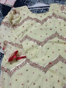 Embroidered Indian Suit