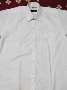 White Neon Plus Shirt