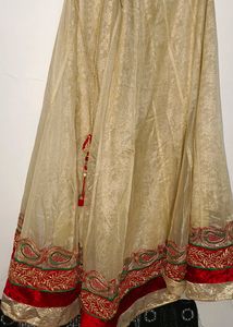 Velvet Net Lehenga