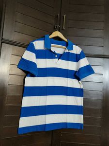Men Blue White Striped Cotton Tshirt