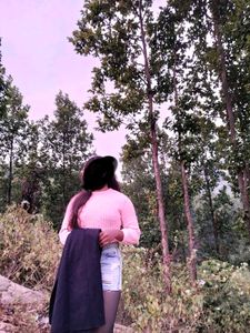 Cute Cropped Knit Sweater