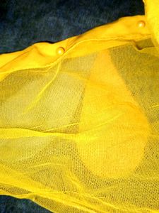 Mustard Top
