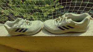 Adidas Shoe