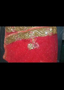 Embellished Gajari Colour Net Aur Crapeab