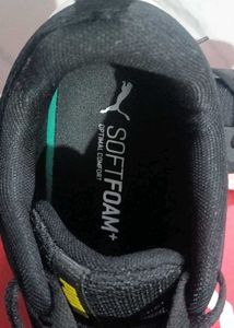 Puma Men's SOFTRIDE Vital Shoes | Just Open Box