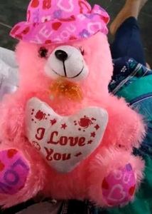 Pink Teddy Bear with Hat