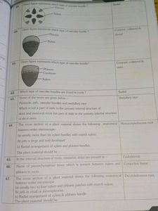 NCR Biology Class XI - ALLEN