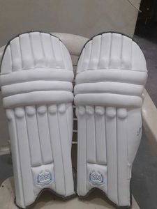 Cricket Batting Pads