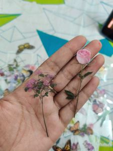 Journaling Stickers