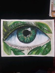 Eye See Nature