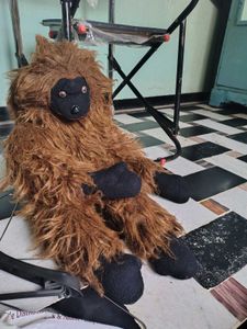chimpanzee teddy