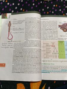 Class XII Biology Book(free support material)