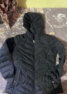 fort collins jacket